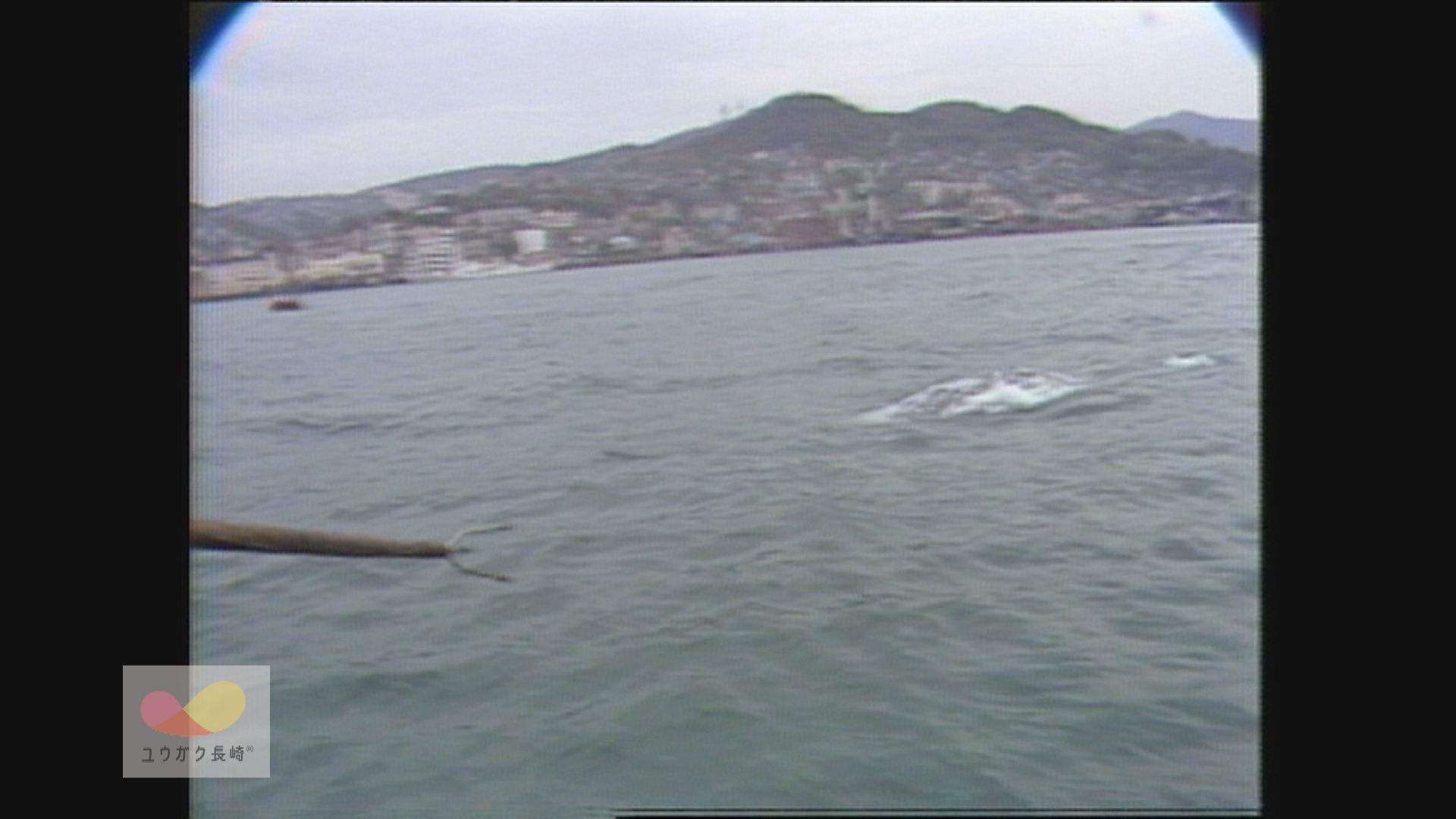 捕鯨騒動勃発？！長崎港に大きなクジラがやってきたイメージ